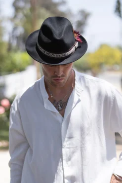 Beau><noscript><img width=