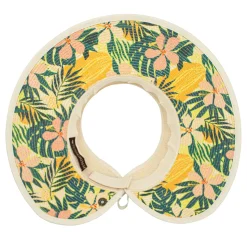 luau><noscript><img width=